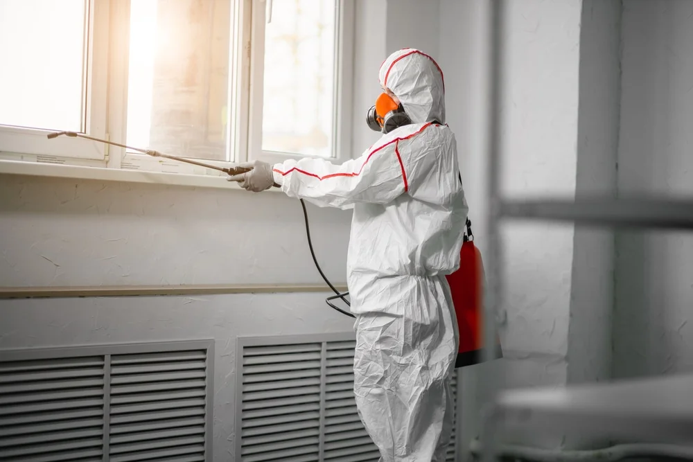 Professional mold remediation services in Little Silver, NJ